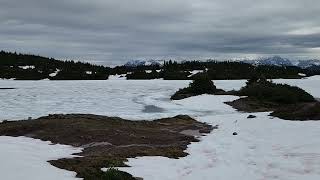 Top of the world in #northernbc #backcountry