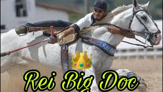 REI BIG DOC O CAVALO DESAFORADO (Cavalo Show)