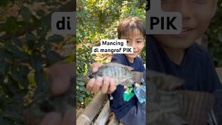 MANCING IKAN DI PIK JAKARTA #viralvideo #fishing #viralvideo