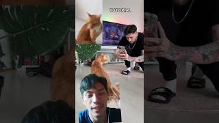 Tutorial Jedag Jedug Mengunakan Hewan Kucing #music #remix