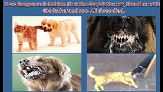 The Truth About rabies Will Shock You| Cat responsible in two deaths father and son