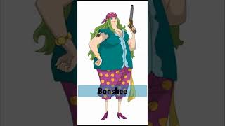 ace || Bajak Laut Spade #anime #onepiece #luffy #ace #shorts