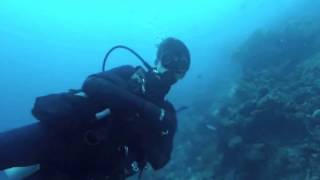 [GuestCamera] - The Only Good Suit is WETSUIT. Just Dive In! | Scuba Diving in Raja Ampat, Papua