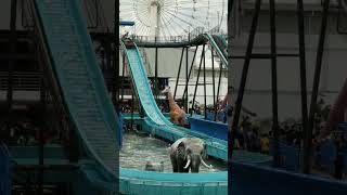 Lets get wet in Jungle Splash ride at Star City | #shorts