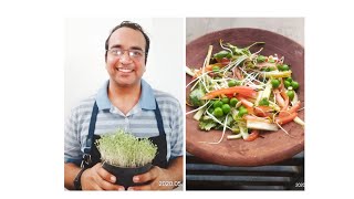 Homegrown microgreen's salad by yuvraj narula and Sandhya Mirchandani under Lazeez culinary academy