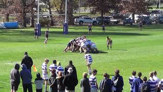 2021 ACT School Rugby U15 Game 5 - St Edmunds vs Trinity College - 5 June