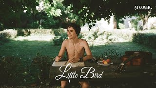 Sufjan Stevens - Little Bird #𝐀𝐈𝐂𝐨𝐯𝐞𝐫