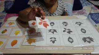 5 shadow matching activities