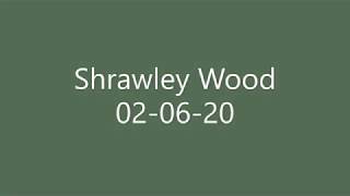 Palm Shrawley Wood 02 06 20