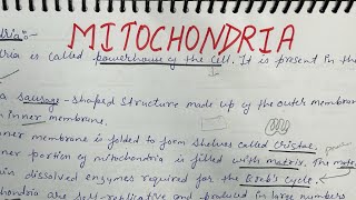 Mitochondria