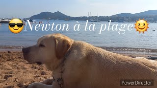 😎Newton à la plage🌞