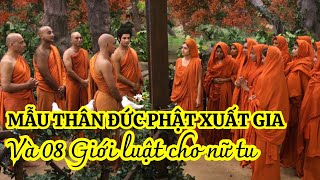 Mẫu thân Đức Phật xuất gia và 8 giới luật cho tỳ kheo ni