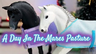 A Day In The Mares Pasture *Schleich Horse Short Film*  | Phoenix Stables