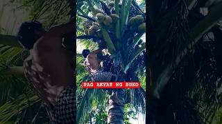 PAG AKYAT NG BUKO #reels #mukbang #reelsfb #reelsinstagram #reelsvideo #reelsvideos #provincelife