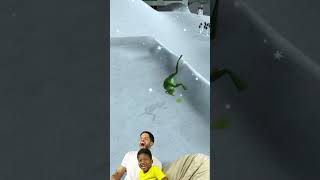 The Frog Farted! #cute #funny #gaming #amazingfrog  #fatherandson