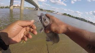 Bank fishing B Jackson Ohio river fishing 7-23-19 lil fish count too