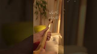 همه اون روزها یی که بی تو گذشت از رضا صادقی ،اجرای سه تار هاتف ملکشاهی