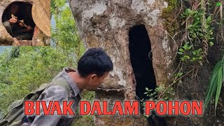 AKSI NEKAD PAK TUA❗BIVAK DI LOBANG POHON TUA ANGKER DAN PENUH KELABANG