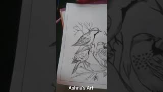 Birds Drawing 🐦. Video #244