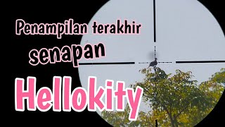 Panen tekukur di musim ketigo/kemarau part #2