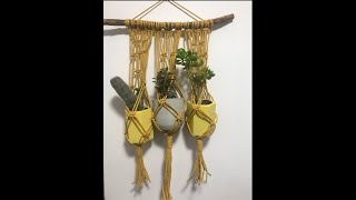 Macramé Multi-Plant Holder Tutorial: Create Stunning Hanging Plant Displays!