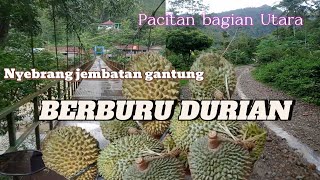 BERBURU DURIAN ‼️ NYEBRANG JEMBATAN GANTUNG PACITAN BAGIAN UTARA , SUASANA MASIH ASRI