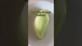 Ikan Asin Di Campur Dengan Mangga Mudah || Khas Orang Bugis #shorts #shortvideo