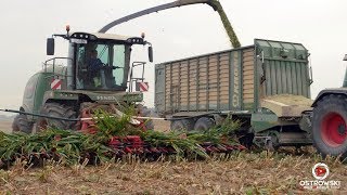 ☆ Zbiór Kukurydzy,Traw i GPS,u z Firmą KAM-ROL ☆