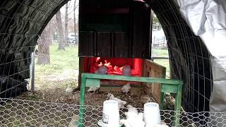 Free-range Chicks and Unexpected Weather Hoop Houses to the Rescue!