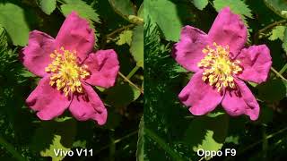 Vivo V11 Vs Oppo F9 Camera Test Comparison