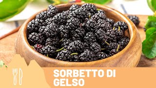 Corso di #Gelato - Gelato sorbetto artigianale e naturale al #Gelso