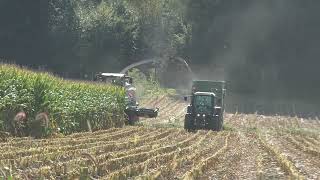 Maishäckseln mit der Raubkatze Claas Jaguar 970 und Orbis 750 und Fendt Vario 724 mit Lohnunternehme