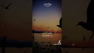 Most Beutiful Quran Recitation #kuran #dinle #shortsfeed #youtubeshorts #shorts #tiktok #tilawat