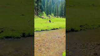 swat beautiful pakistan #2022 #nature