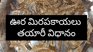 Oora Mirapakayalu Preparation | ఊర మిరపకాయలు | చల్ల మిరపకాయలు | మజ్జిగ మిరపకాయలు తయారీ విధానం