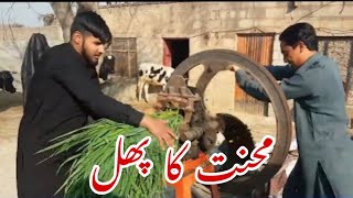 1 May Labor Day Special | Mehnat Ka Phal | Fruit of Hard Work