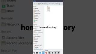 root | home directory | absolute path | linux | #shorts #ytshorts