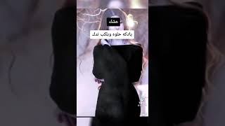 استوريات تجنن ستوريات واتساب عشك ياهيه دكه بالقلب