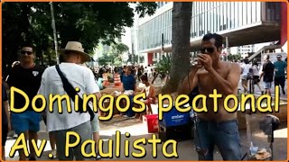 Los domingos es peatonal la av Paulista. IDES