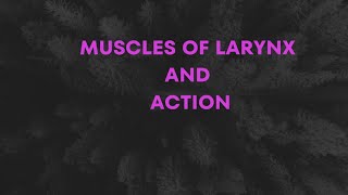 Muscles of larynx and actions