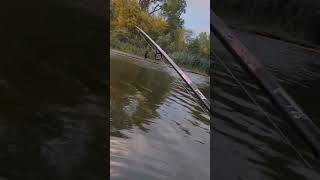 POV: Hooked up To Fresh Steelhead! #steelheadfishing