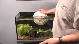 Aquarium Set Up - Chlorine and chloramine removal - Rinse hands