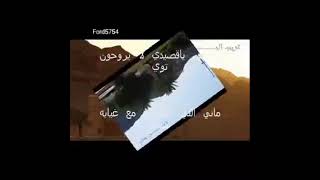 ماني اعمى بصيره بس وش عاد أسوي | كلمات: #متعب_التركي | أداء: #عبدالله_المسعودي