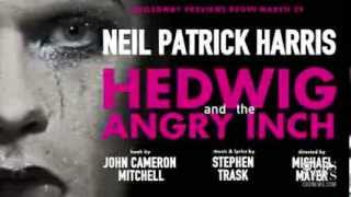 Neil Patrick Harris talks "Hedwig and the Angry Inch"