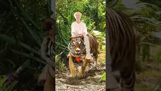 Tiger on a tiger 🐯😂#kpop#trend#viral#youtubeshorts#ytshorts#shorts#fyp#bts#blackpink#hoshi#seventeen