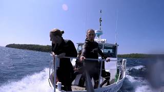 Shipwreck freediving/snorkeling Canada