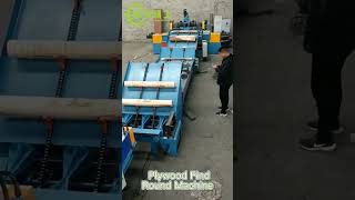 8FT Veneer Peeling Machine Manufacturer with Automatic CNC Woodworking Machinery