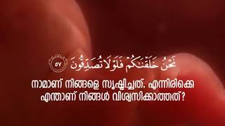 നിങ്ങളുടെ സൃഷ്ടിപ്പിനെ കുറിച് ചിന്തിച്ചിട്ടുണ്ടോ???