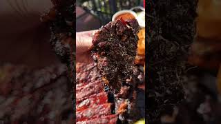 BBQ Meat  #shorrts #food #cheese #viral #foodie #bread #youtubeshorts #pizza #cheesburger