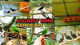 BURUNG BEO DALAM AVIARI BERAGAM BURUNG LAINNYA‼️ mau bersarang bos Q